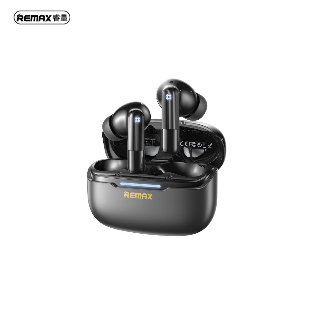 REMAX_COZYPODS_JZ02_black_01 REMAX COZYPODS JZ02 (BLACK) NOISE REDUCTION EARBUDS - Image 1