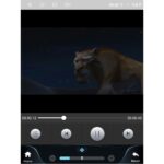 LENOVO SSW 10878_CPA TESLA STYLE for JEEP COMPASS mod. 2017-2021 - Image 7